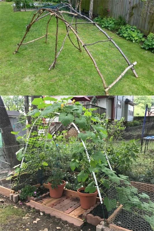 zbuduj pomoc wspinaczkową sam ogród warzywny