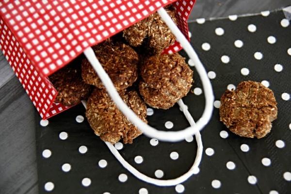 Faites vous-même des biscuits ronds pour chiens, des friandises pour chiens comme idée cadeau