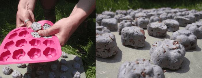 bomby nasienne samemu tworzą pomysły na silikonowe formy ogrodowe