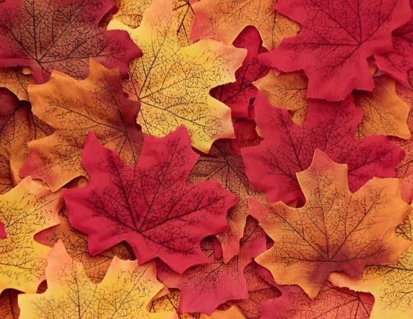 odcienie jesieni - świetne liście