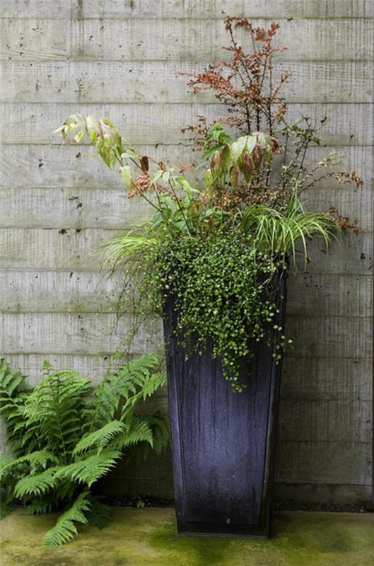 idées chics pour les pots plantes mélangées très hautes