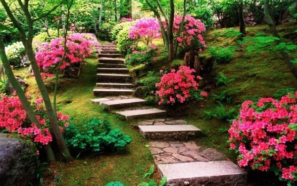 belle conception de jardin avec escalier de jardin