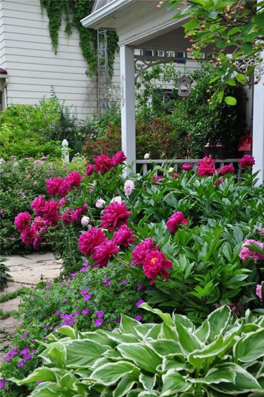 piękne ogrody łączą kolory i kształty