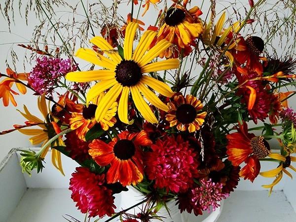 piękne kwiaty na jesień - świetny pomysł