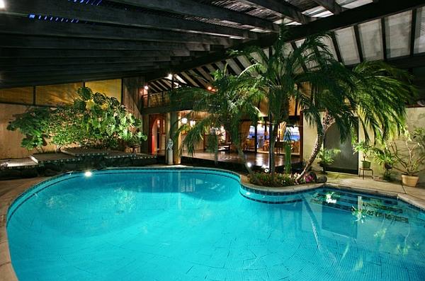 piscine à la maison palmiers ovales