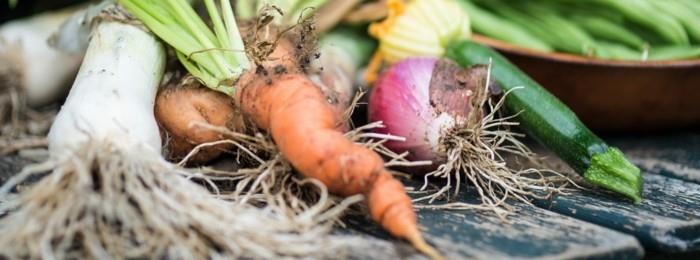 mouvement slow food vivre sain sain obs achats durables légumes