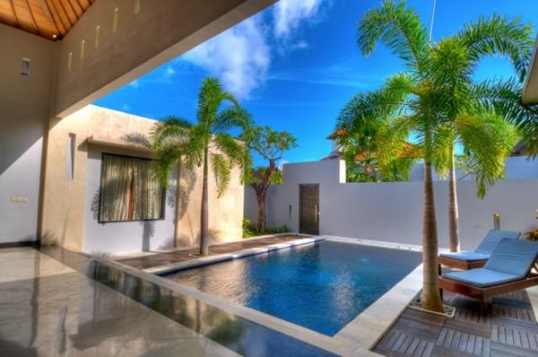 mały dziedziniec basen z palmami krajobraz?
