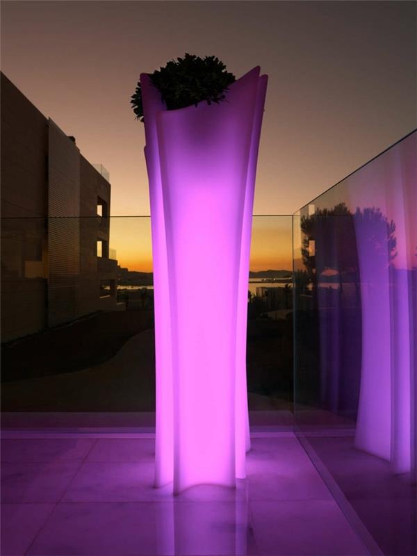 oświetlenie ogrodu słonecznego fioletowe światło pomysły na ogród