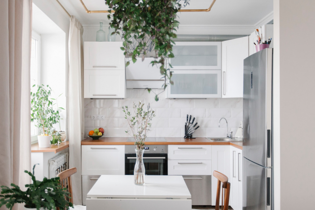 Bílá kuchyně s pokojovými rostlinami