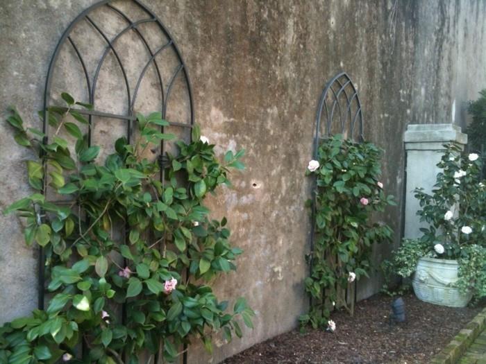 Trellis w ogrodzie pnące róże zdobią ściany