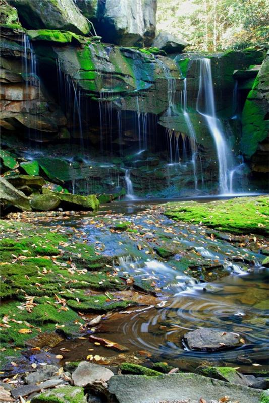 aller faire une promenade belle région forêt