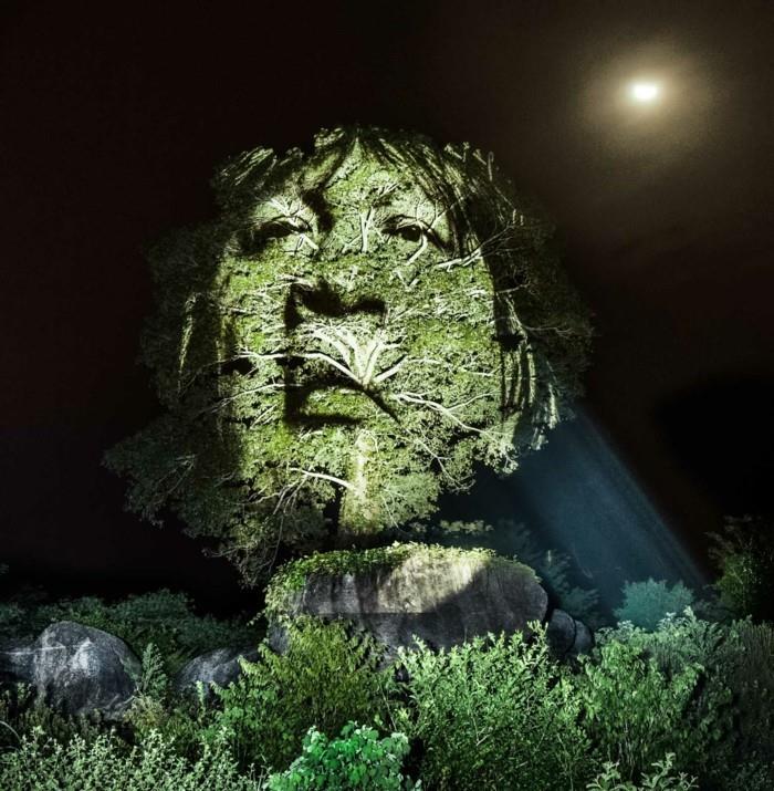 visages de la forêt tropicale du tronc