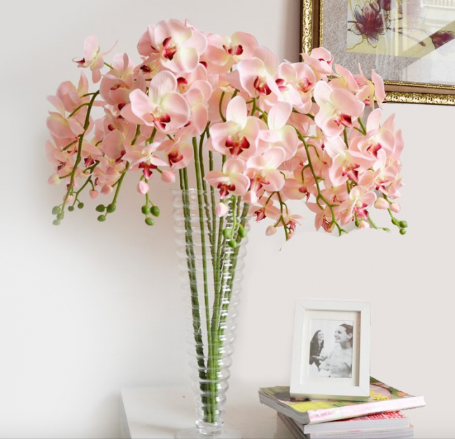 Růžové orchideje organicky zapadnou do světelného designu místnosti