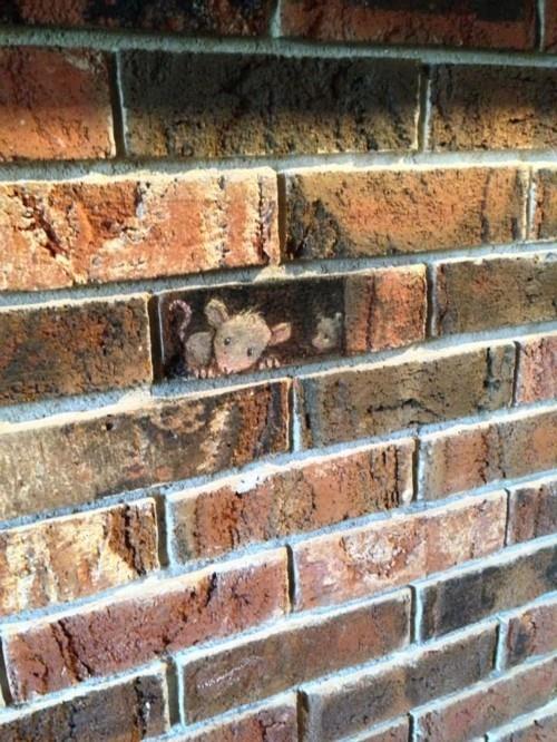 souris d'art de rue sur les briques