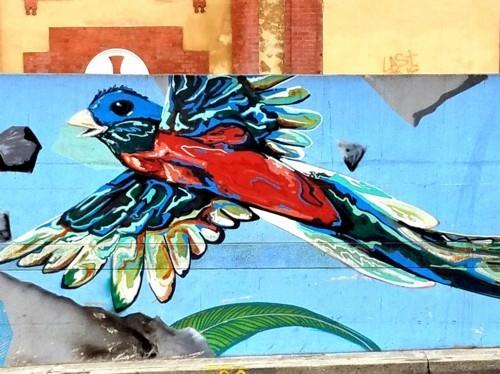 mur d'art de rue avec un oiseau coloré