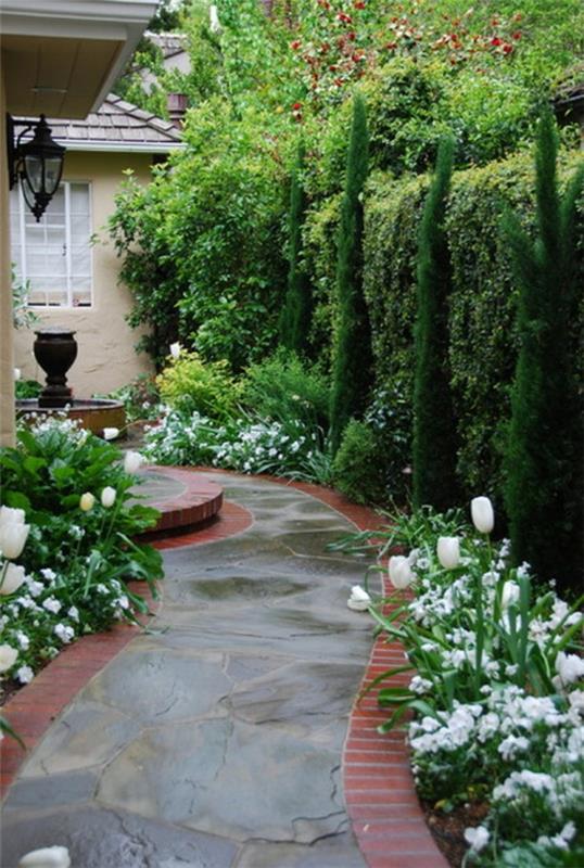 structure dans le jardin étroit élégant cyprès tulipes blanches