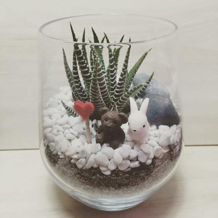 Fabriquez vos propres succulentes dans une décoration en verre
