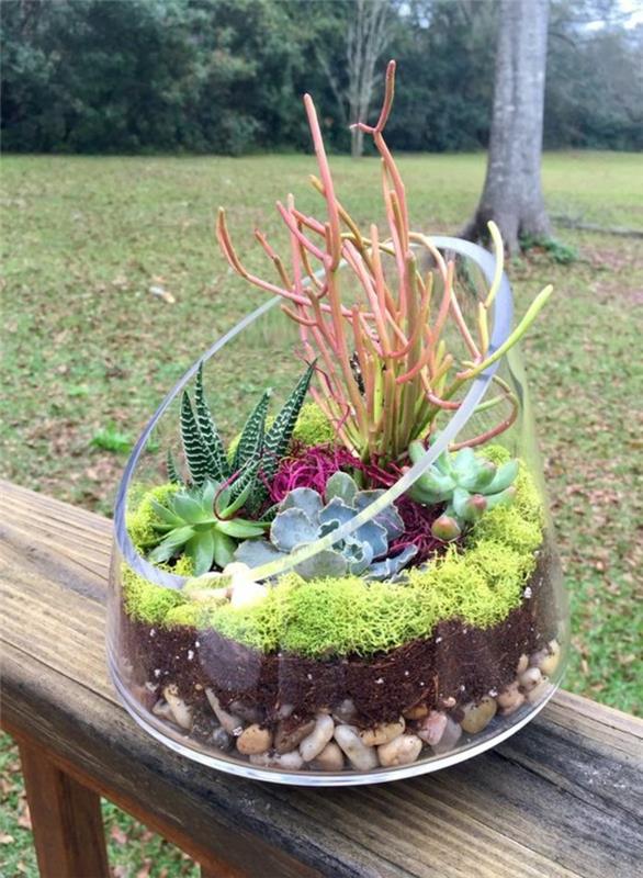 plantes succulentes dans des décorations de terrarium en verre