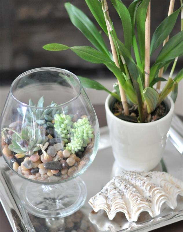 plantes succulentes dans des idées de bricolage de terrarium en verre