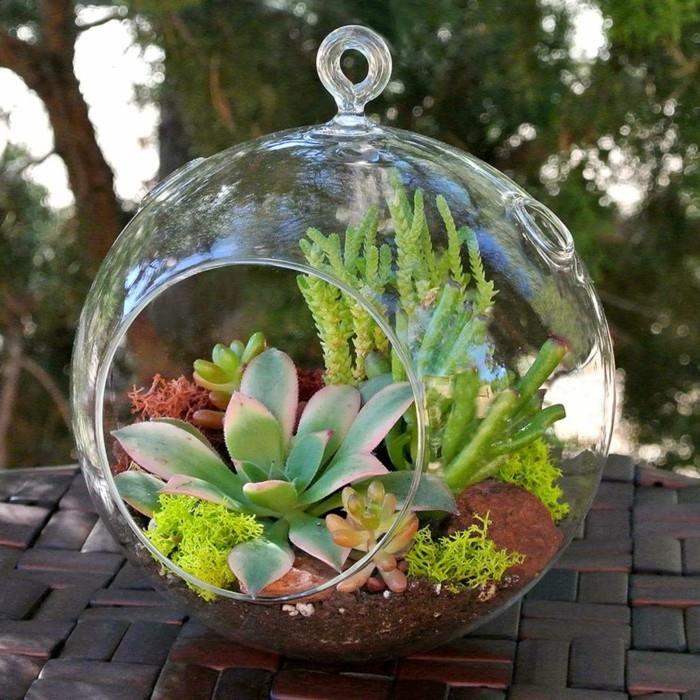 Disposer les succulentes dans le verre terraruim