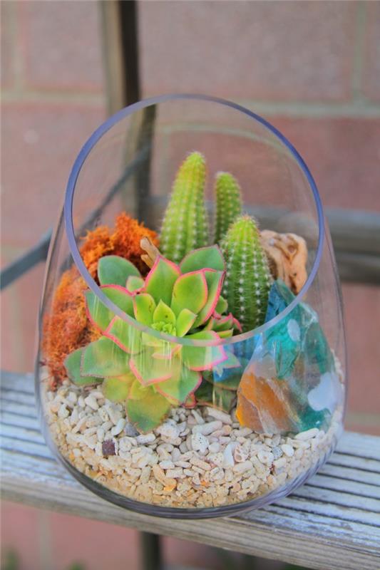 idées de décoration de plantes d'intérieur succulentes à l'intérieur à l'extérieur