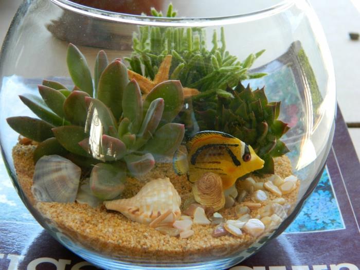 plantes d'intérieur succulentes idées de décoration fond marin