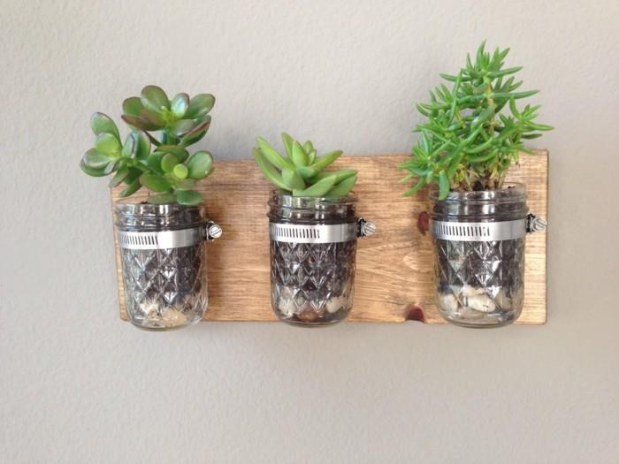 plantes succulentes plantes d'intérieur pots Mason idées de décoration murale
