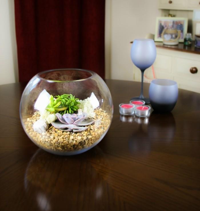 décoration de gravier de terrarium de plantes d'intérieur succulentes