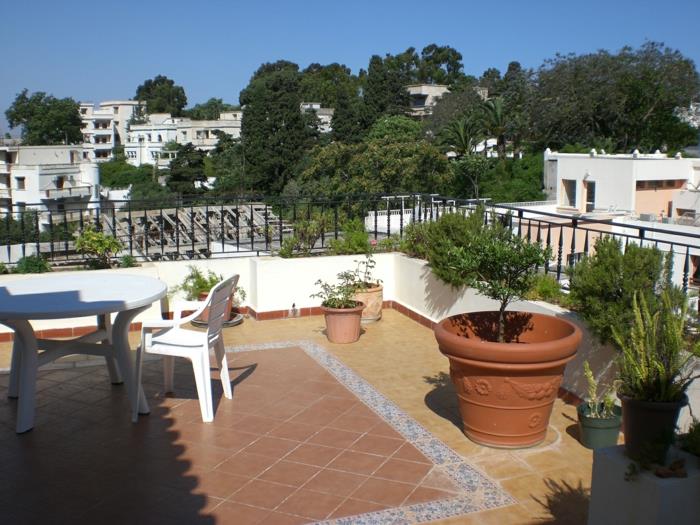 idées de conception de terrasse plantes meubles d'extérieur blancs