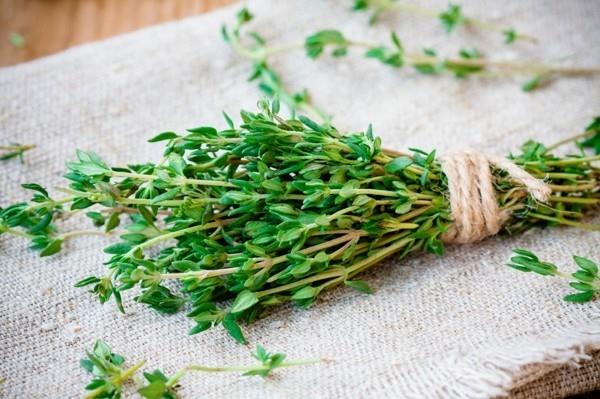 thym myrte baume faites vous-même fischer herbes colorées