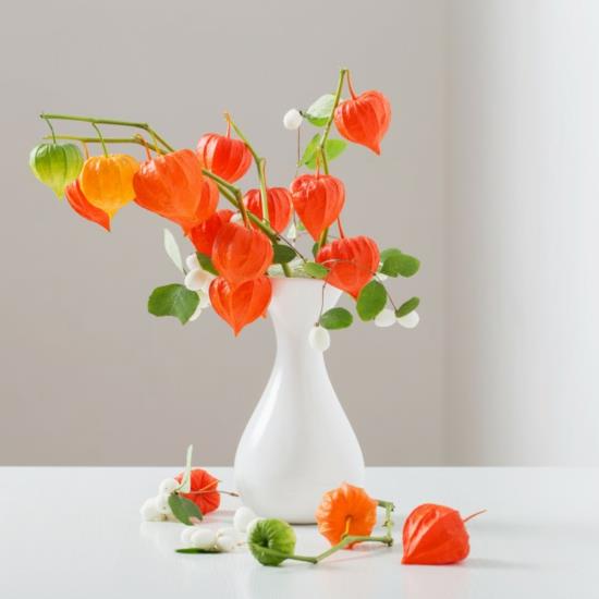 dekoracja stołu wazon kwiaty lampion kwiat physalis białe jagody