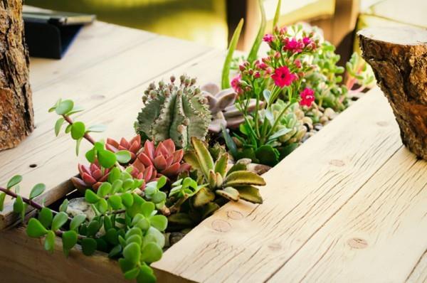 grand-cactus-bricolage-planteurs