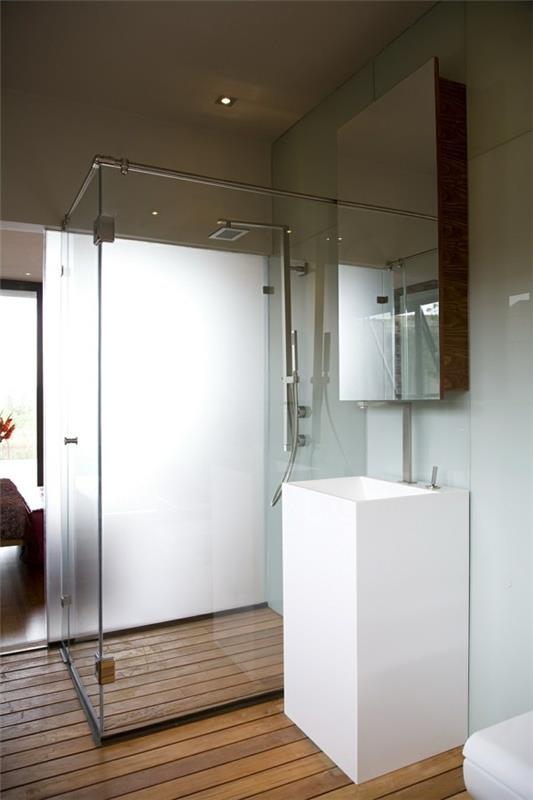 douche transparente de la maison de rêve et lavabo blanc