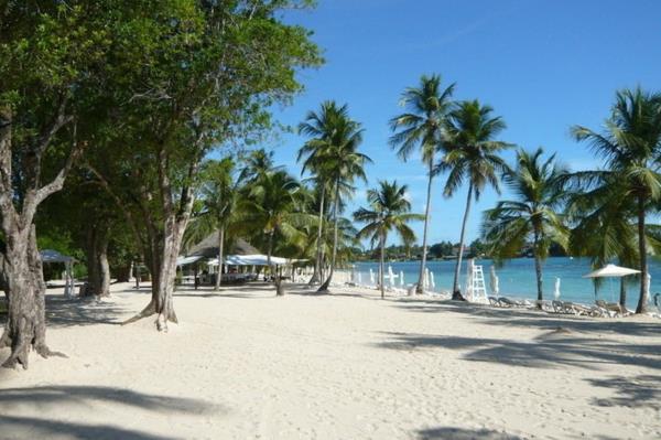 vacances de rêve caraïbes plage blanche palmiers
