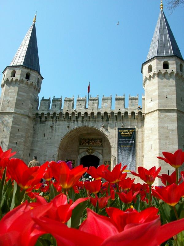 tulipany zdjęcia turcja emirgan istnabul festiwal