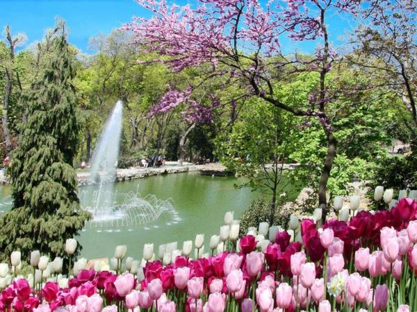 tulipany zdjęcia turcja emirgan fontanna