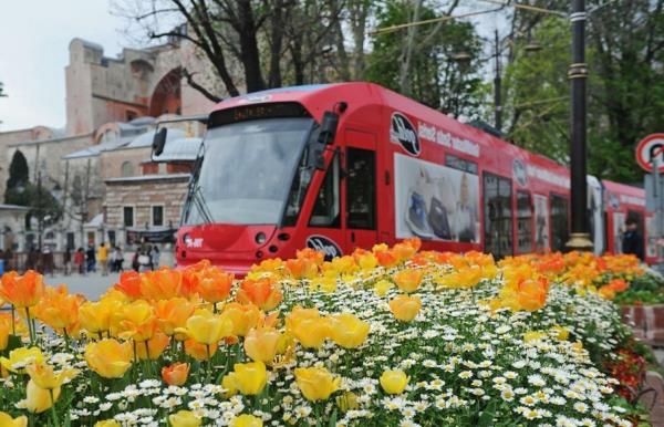 tulipany zdjęcia turcja festiwal miasta stambuł