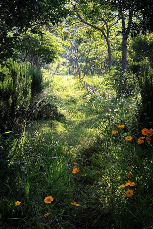 promenade printanière typique nature