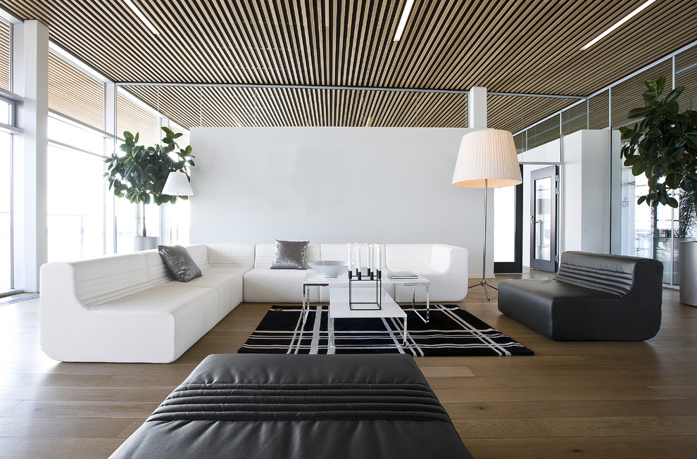 Schwarz-Weiß-Design eines geräumigen Wohnzimmers im minimalistischen Stil