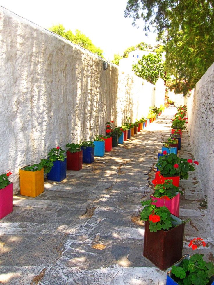 Světlé vícebarevné boxy s muškáty se staly spásou pro uličku z nudných betonových zdí