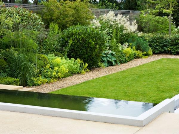 środowisko natura idea basen z wodą w ogrodzie