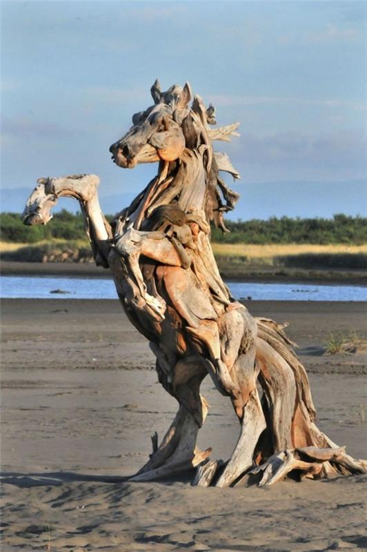 environnement équitation l'idée de cheval