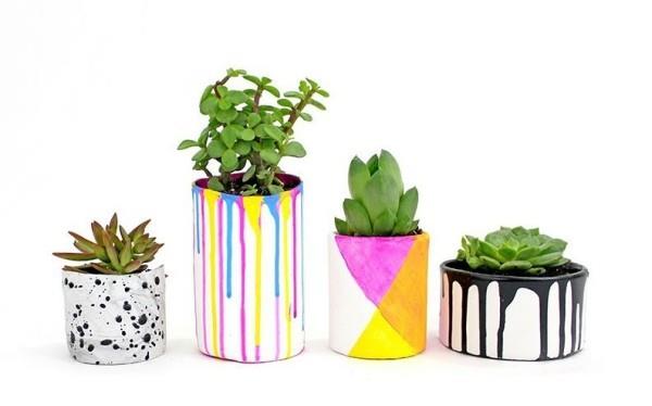 quatre succulentes décoratives DIY