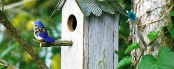 Construisez votre propre maison d'oiseau