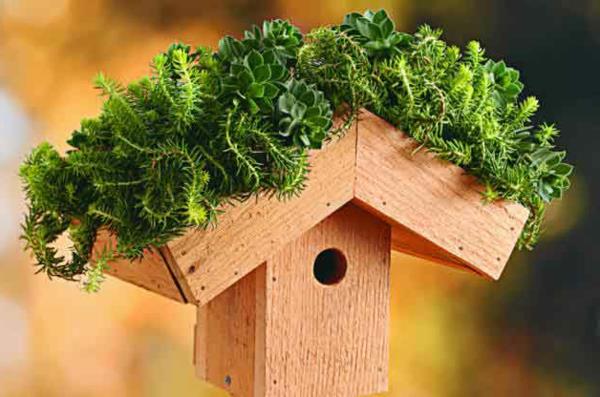 construire vous-même un nichoir en bois jardin sur le toit respectueux de l'environnement