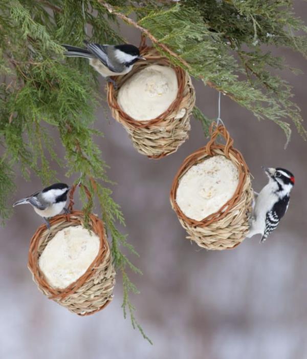 fabriquez vous-même une mangeoire à oiseaux en bois