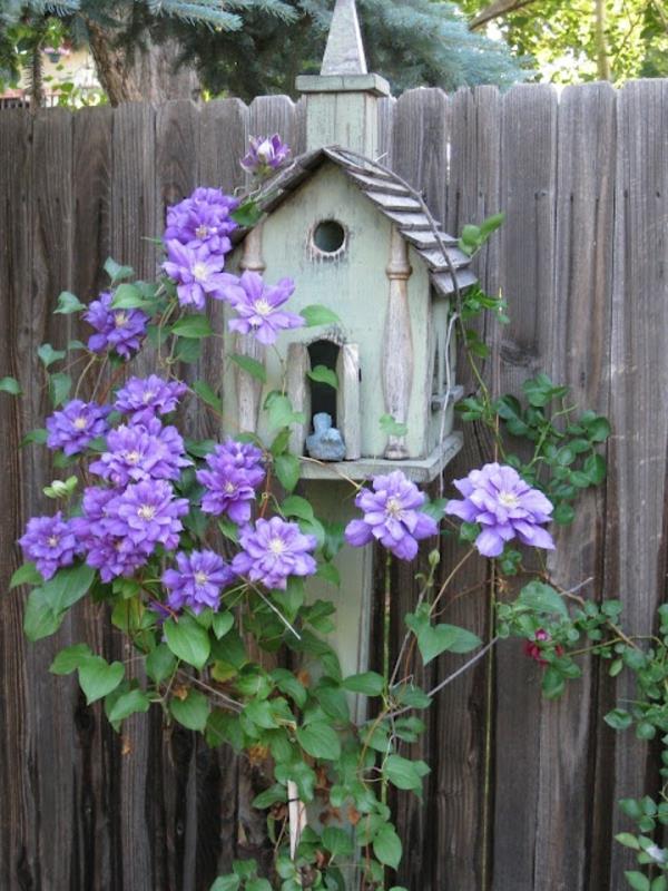 maison d'oiseau construire du bois fleurs violettes respectueuses de l'environnement