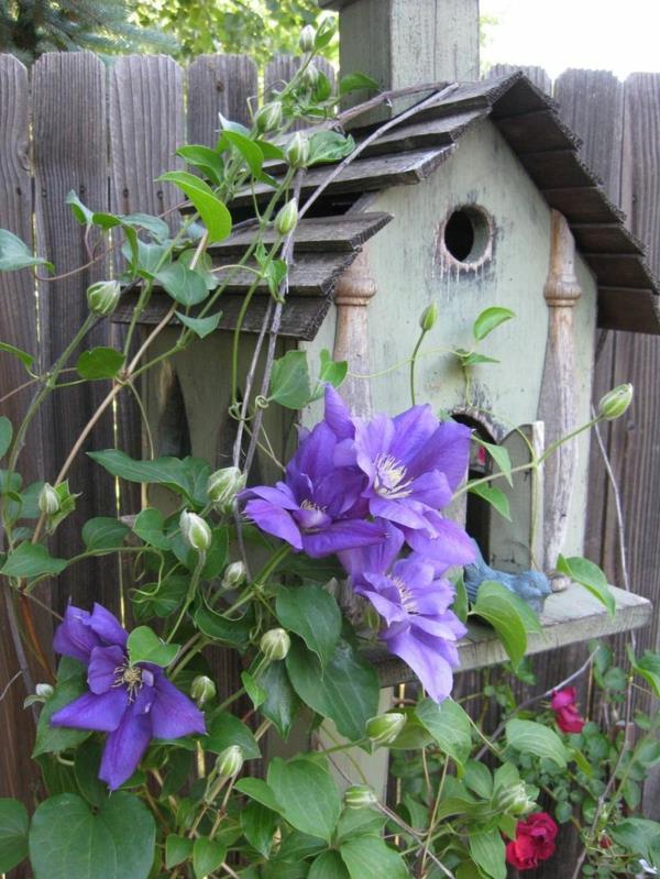 faire votre propre nichoir en bois écologique violet