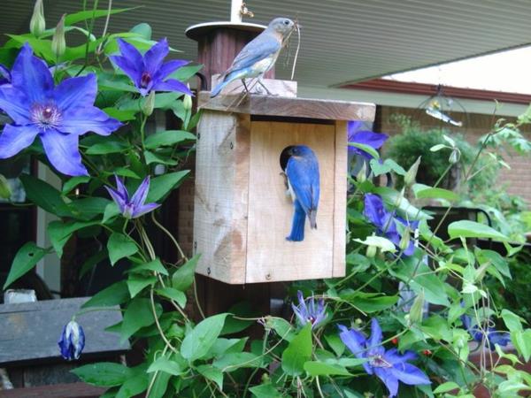 bois respectueux de l'environnement faites votre propre mangeoire à oiseaux belle