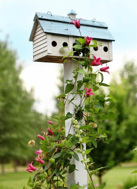 maison d'oiseau écologique en bois construisez-le vous-même arbuste